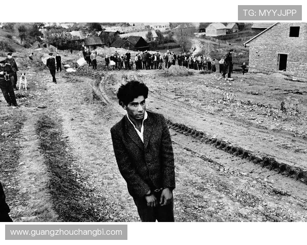 威尔斯与斯洛伐克对决分析及胜负预测探讨